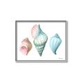 Picture of Seashells I  _GroupedProduct_Rectangle_Landscape_Canvas_Framed_