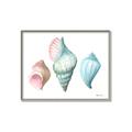 Picture of Seashells I  _GroupedProduct_Rectangle_Landscape_Canvas_Framed_