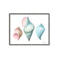 Picture of Seashells I  _GroupedProduct_Rectangle_Landscape_Canvas_Framed_