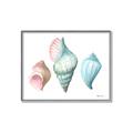 Picture of Seashells I  _GroupedProduct_Rectangle_Landscape_Canvas_Framed_