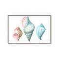 Picture of Seashells I  _GroupedProduct_Rectangle_Landscape_Canvas_Framed_