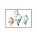 Picture of Seashells I  _GroupedProduct_Rectangle_Landscape_Canvas_Framed_