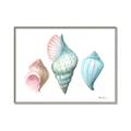 Picture of Seashells I  _GroupedProduct_Rectangle_Landscape_Canvas_Framed_