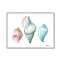 Picture of Seashells I  _GroupedProduct_Rectangle_Landscape_Canvas_Framed_