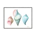 Picture of Seashells I  _GroupedProduct_Rectangle_Landscape_Canvas_Framed_