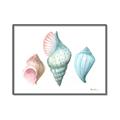 Picture of Seashells I  _GroupedProduct_Rectangle_Landscape_Canvas_Framed_
