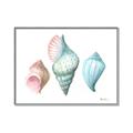Picture of Seashells I  _GroupedProduct_Rectangle_Landscape_Canvas_Framed_