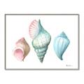 Picture of Seashells I  _GroupedProduct_Rectangle_Landscape_Canvas_Framed_
