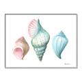 Picture of Seashells I  _GroupedProduct_Rectangle_Landscape_Canvas_Framed_