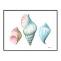 Picture of Seashells I  _GroupedProduct_Rectangle_Landscape_Canvas_Framed_