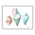 Picture of Seashells I  _GroupedProduct_Rectangle_Landscape_Canvas_Framed_