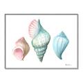Picture of Seashells I  _GroupedProduct_Rectangle_Landscape_Canvas_Framed_
