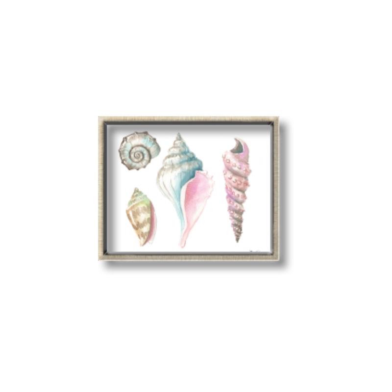 Picture of Seashells II  _GroupedProduct_Rectangle_Landscape_Canvas_Framed_