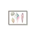Picture of Seashells II  _GroupedProduct_Rectangle_Landscape_Canvas_Framed_