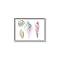 Picture of Seashells II  _GroupedProduct_Rectangle_Landscape_Canvas_Framed_