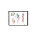 Picture of Seashells II  _GroupedProduct_Rectangle_Landscape_Canvas_Framed_