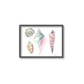 Picture of Seashells II  _GroupedProduct_Rectangle_Landscape_Canvas_Framed_
