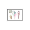 Picture of Seashells II  _GroupedProduct_Rectangle_Landscape_Canvas_Framed_
