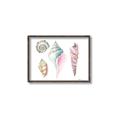 Picture of Seashells II  _GroupedProduct_Rectangle_Landscape_Canvas_Framed_