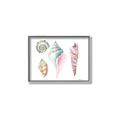 Picture of Seashells II  _GroupedProduct_Rectangle_Landscape_Canvas_Framed_