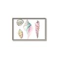 Picture of Seashells II  _GroupedProduct_Rectangle_Landscape_Canvas_Framed_