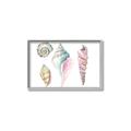 Picture of Seashells II  _GroupedProduct_Rectangle_Landscape_Canvas_Framed_