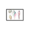 Picture of Seashells II  _GroupedProduct_Rectangle_Landscape_Canvas_Framed_