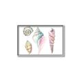 Picture of Seashells II  _GroupedProduct_Rectangle_Landscape_Canvas_Framed_