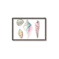 Picture of Seashells II  _GroupedProduct_Rectangle_Landscape_Canvas_Framed_