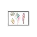 Picture of Seashells II  _GroupedProduct_Rectangle_Landscape_Canvas_Framed_