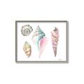 Picture of Seashells II  _GroupedProduct_Rectangle_Landscape_Canvas_Framed_