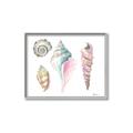 Picture of Seashells II  _GroupedProduct_Rectangle_Landscape_Canvas_Framed_