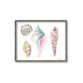 Picture of Seashells II  _GroupedProduct_Rectangle_Landscape_Canvas_Framed_