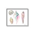 Picture of Seashells II  _GroupedProduct_Rectangle_Landscape_Canvas_Framed_