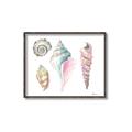 Picture of Seashells II  _GroupedProduct_Rectangle_Landscape_Canvas_Framed_