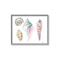 Picture of Seashells II  _GroupedProduct_Rectangle_Landscape_Canvas_Framed_