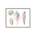 Picture of Seashells II  _GroupedProduct_Rectangle_Landscape_Canvas_Framed_