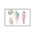 Picture of Seashells II  _GroupedProduct_Rectangle_Landscape_Canvas_Framed_