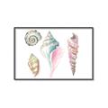 Picture of Seashells II  _GroupedProduct_Rectangle_Landscape_Canvas_Framed_