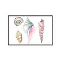 Picture of Seashells II  _GroupedProduct_Rectangle_Landscape_Canvas_Framed_