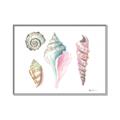 Picture of Seashells II  _GroupedProduct_Rectangle_Landscape_Canvas_Framed_
