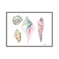 Picture of Seashells II  _GroupedProduct_Rectangle_Landscape_Canvas_Framed_
