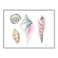 Picture of Seashells II  _GroupedProduct_Rectangle_Landscape_Canvas_Framed_