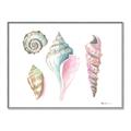Picture of Seashells II  _GroupedProduct_Rectangle_Landscape_Canvas_Framed_