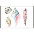 Picture of Seashells II  _GroupedProduct_Rectangle_Landscape_Canvas_Framed_