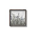 Picture of In the Garden I  _GroupedProduct_Square_Canvas_Framed_