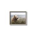 Picture of Waking Up _GroupedProduct_Rectangle_Landscape_Canvas_Framed_
