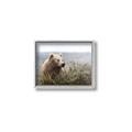 Picture of Waking Up _GroupedProduct_Rectangle_Landscape_Canvas_Framed_