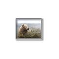 Picture of Waking Up _GroupedProduct_Rectangle_Landscape_Canvas_Framed_
