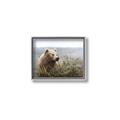 Picture of Waking Up _GroupedProduct_Rectangle_Landscape_Canvas_Framed_